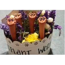 Pot Plant Worms - Terra Cotta